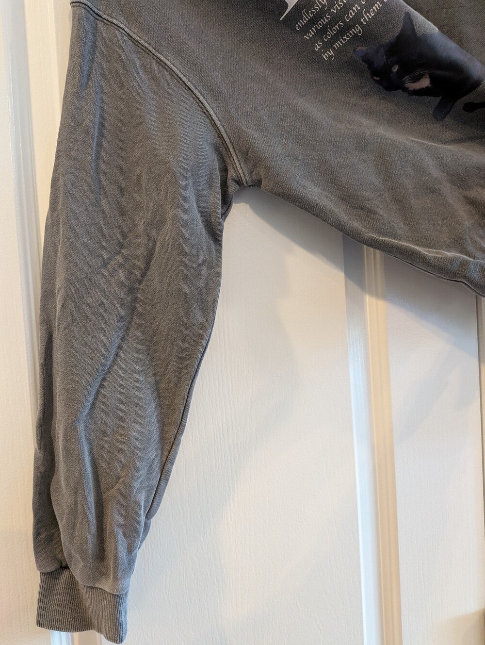 Fallet Cat Deuce Nero Sweatshirt Pigment Charcoal Gray Oversized Korean Size S - Picture 7 of 16